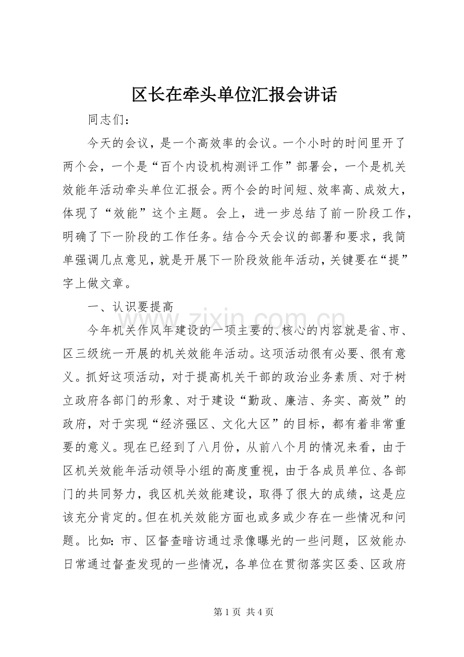 区长在牵头单位汇报会讲话.docx_第1页