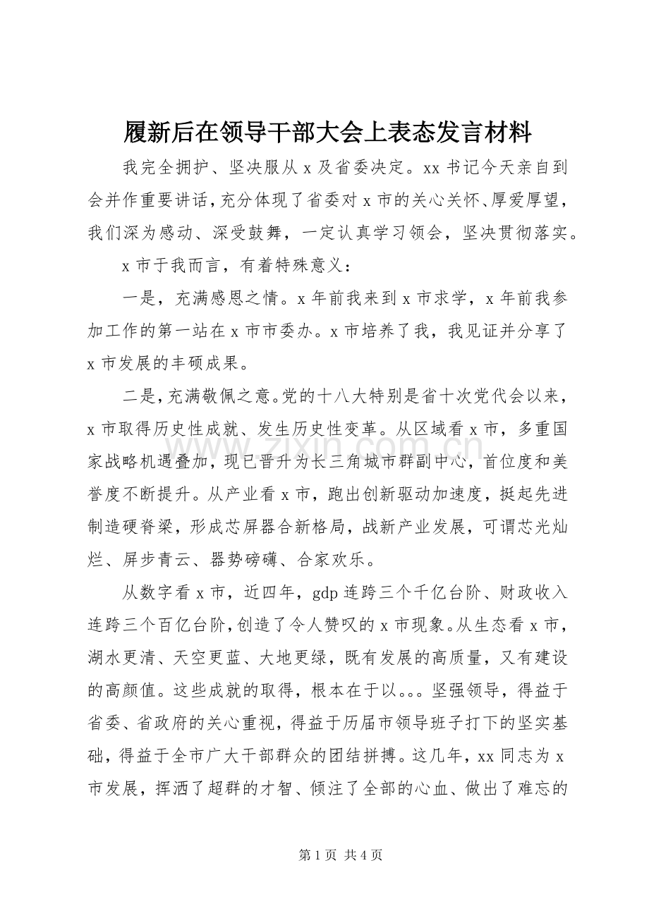 履新后在领导干部大会上表态发言材料提纲.docx_第1页