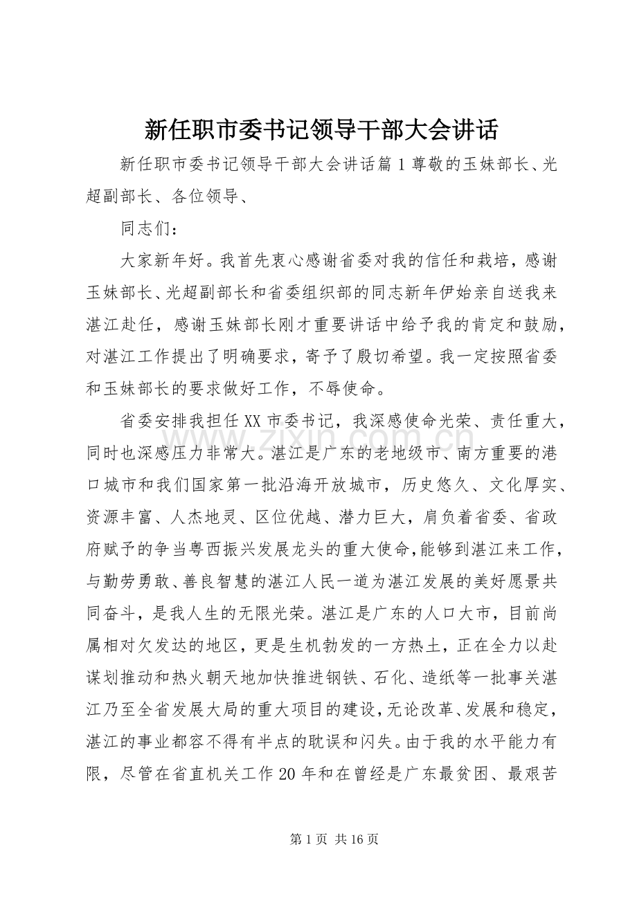 新任职市委书记领导干部大会讲话.docx_第1页