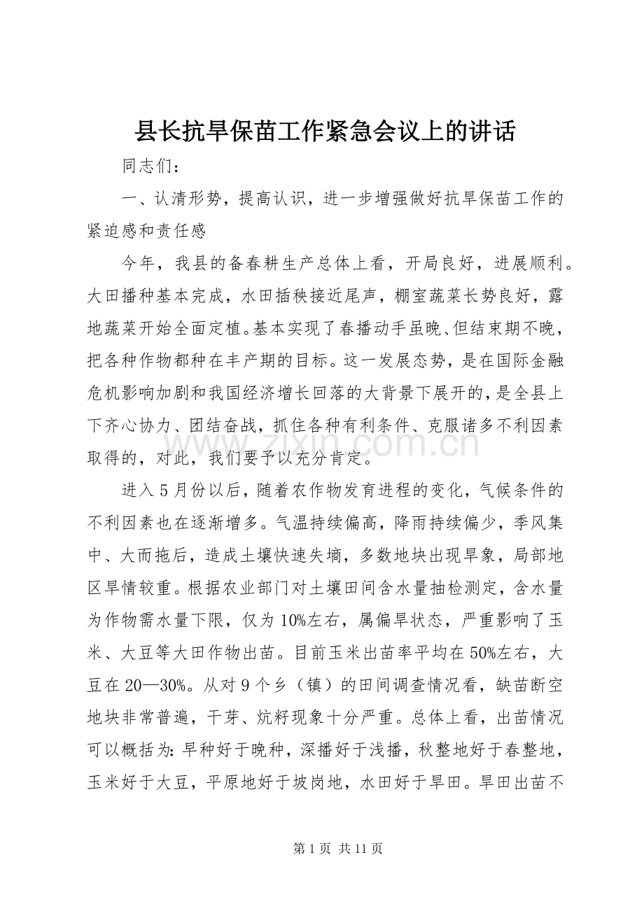 县长抗旱保苗工作紧急会议上的讲话.docx_第1页