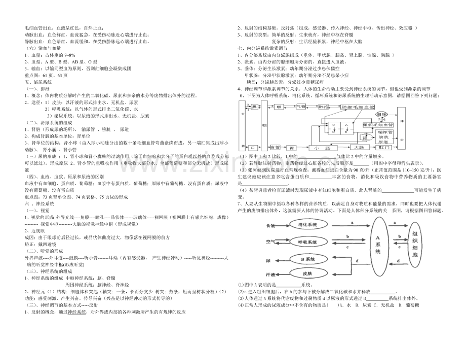 七年级下册生物复习提纲.doc_第2页