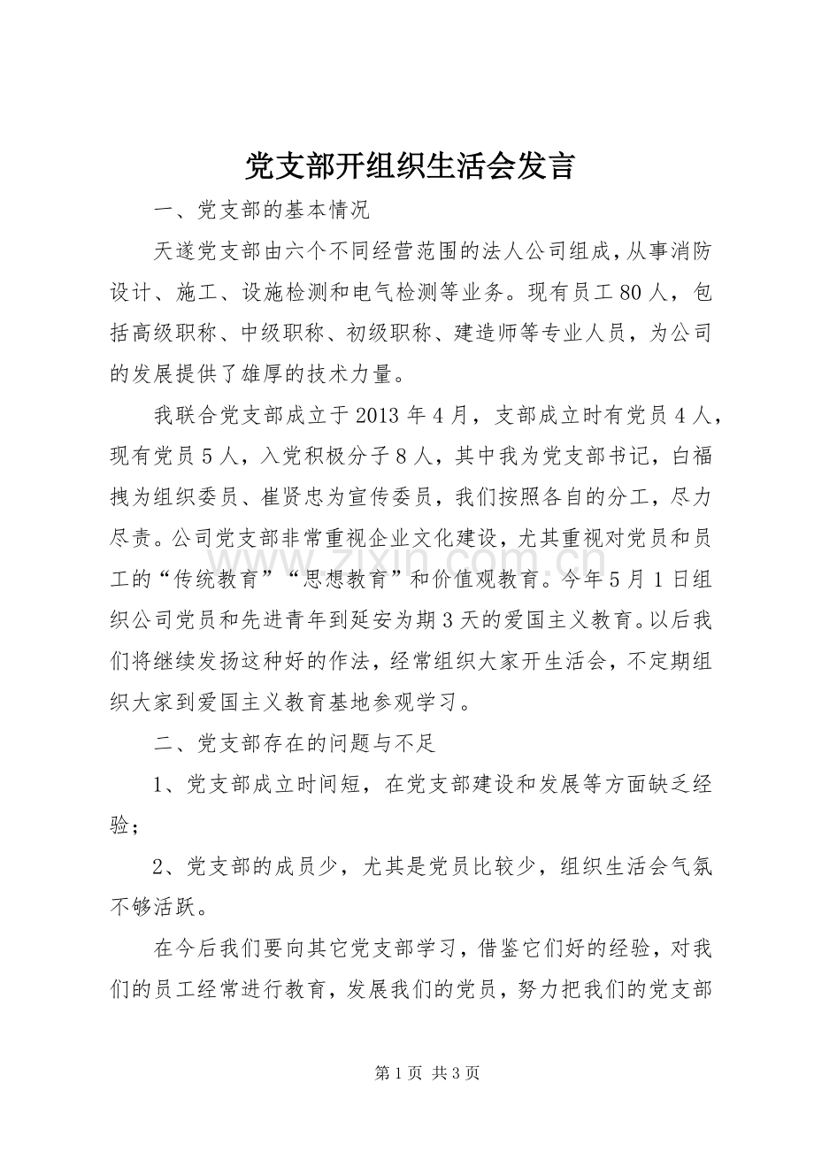 党支部开组织生活会发言稿 (3).docx_第1页