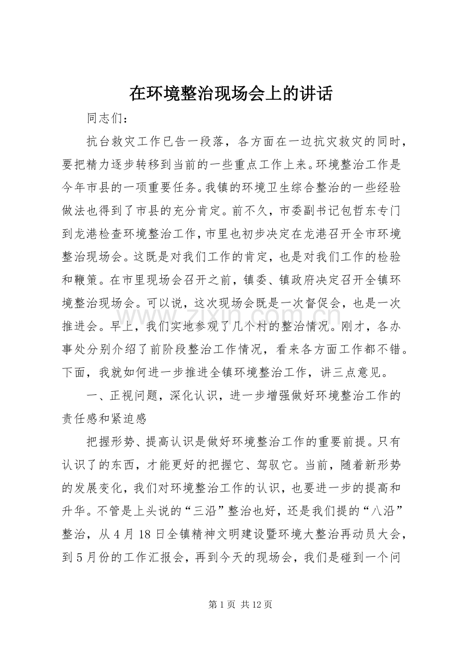 在环境整治现场会上的讲话.docx_第1页