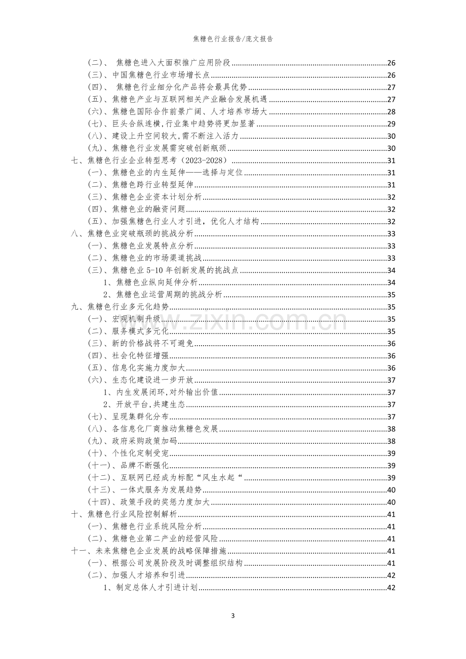 2023年焦糖色行业市场突围建议及需求分析报告.docx_第3页