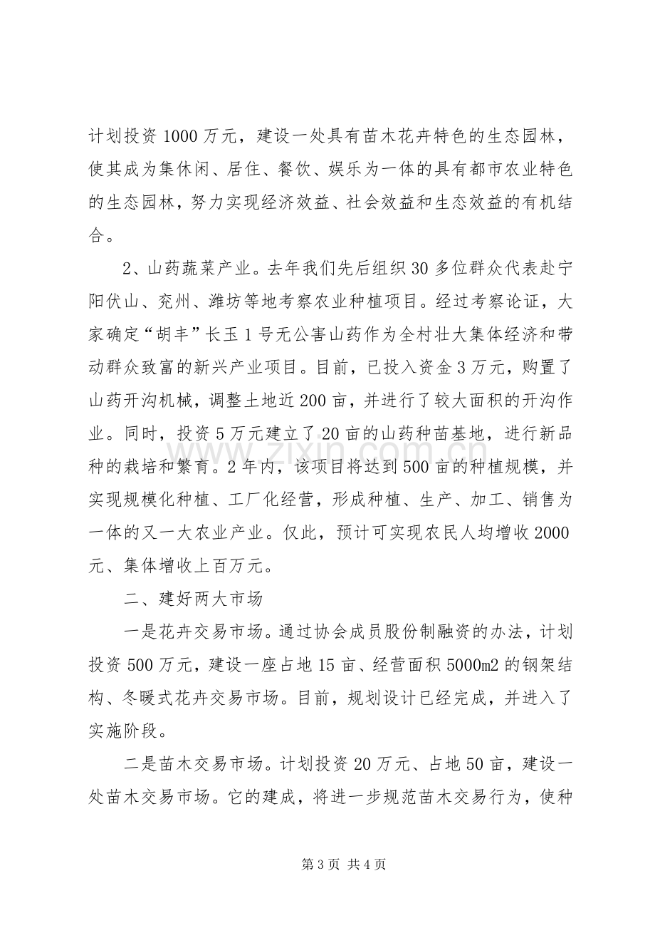 村党支部书记社会主义新农村建设表态发言稿.docx_第3页