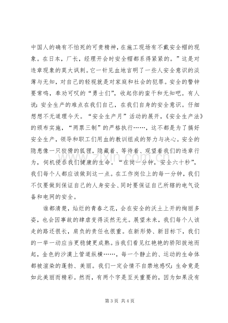 关于化工企业安全生产的演讲稿.docx_第3页