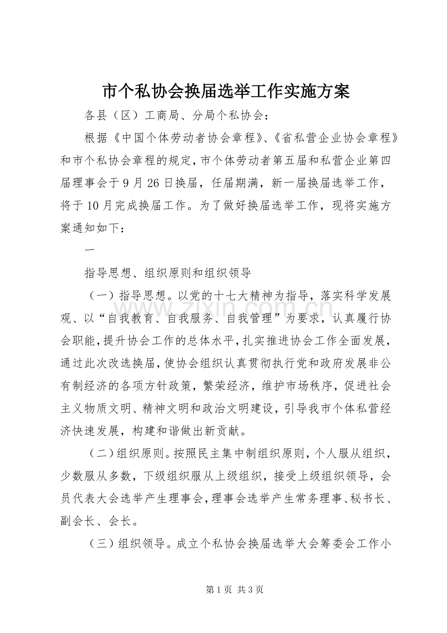 市个私协会换届选举工作方案 .docx_第1页