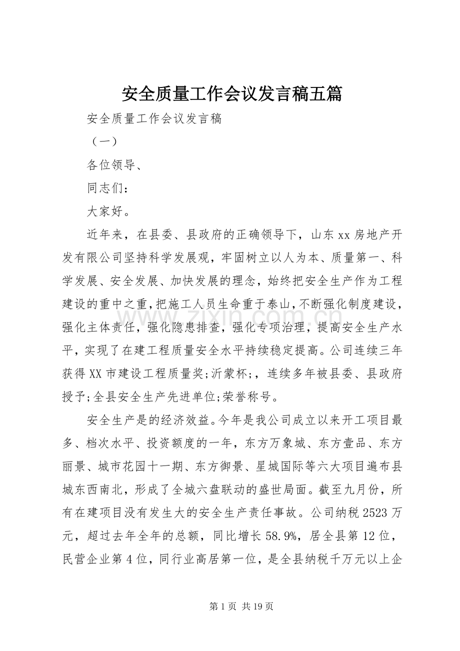 安全质量工作会议发言五篇.docx_第1页