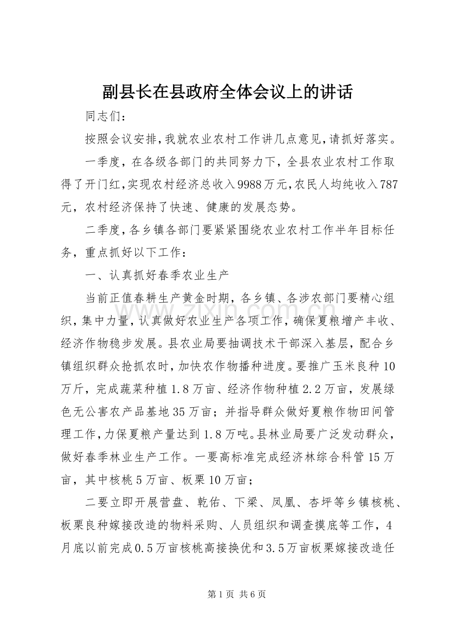 副县长在县政府全体会议上的讲话.docx_第1页