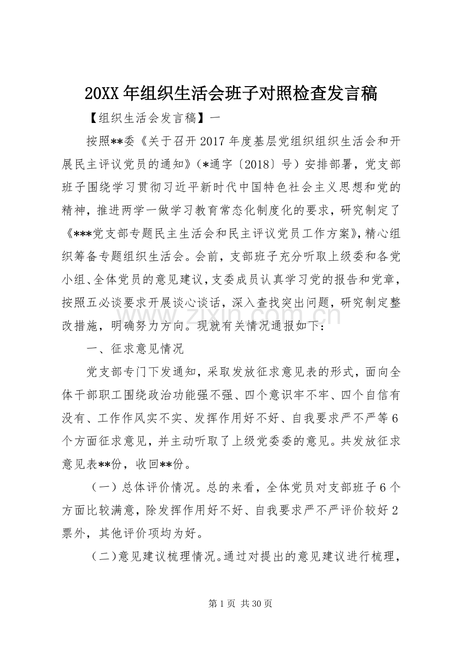 20XX年组织生活会班子对照检查发言(2).docx_第1页