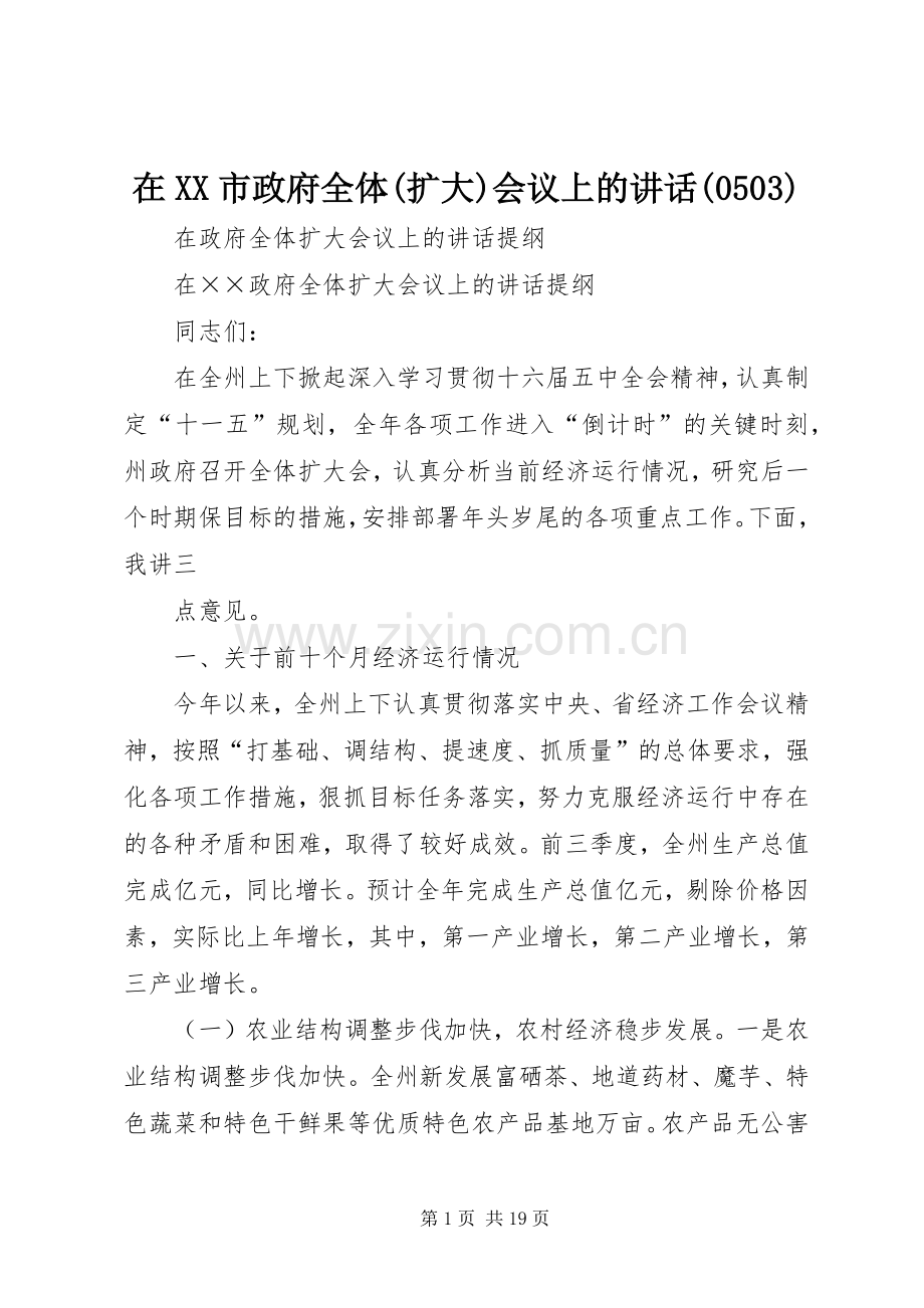 在XX市政府全体(扩大)会议上的讲话(505).docx_第1页