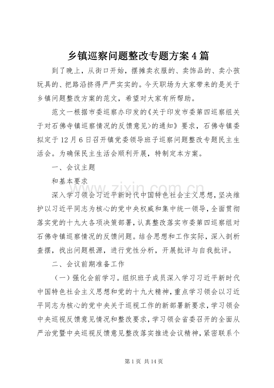 乡镇巡察问题整改专题实施方案4篇.docx_第1页