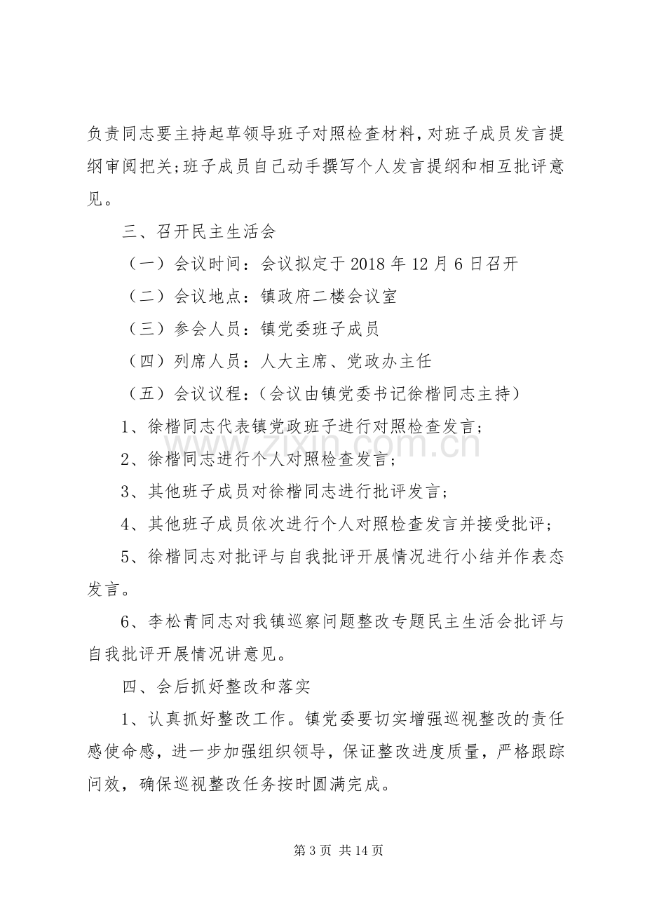 乡镇巡察问题整改专题实施方案4篇.docx_第3页