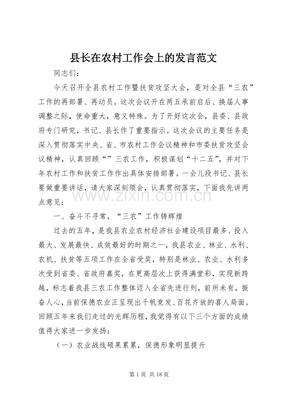 县长在农村工作会上的发言稿范文.docx_第1页