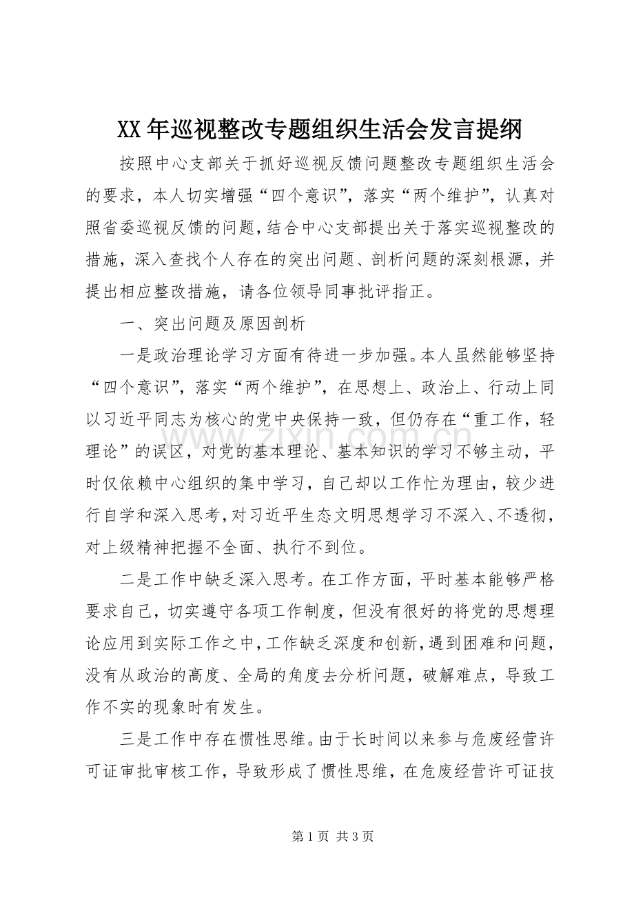 XX年巡视整改专题组织生活会发言提纲材料.docx_第1页