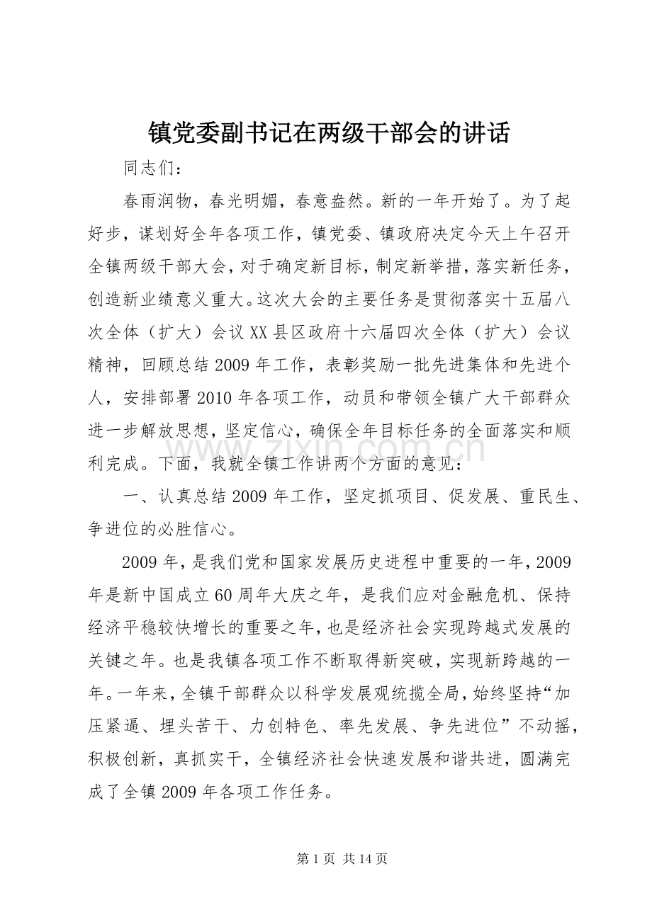 镇党委副书记在两级干部会的讲话.docx_第1页