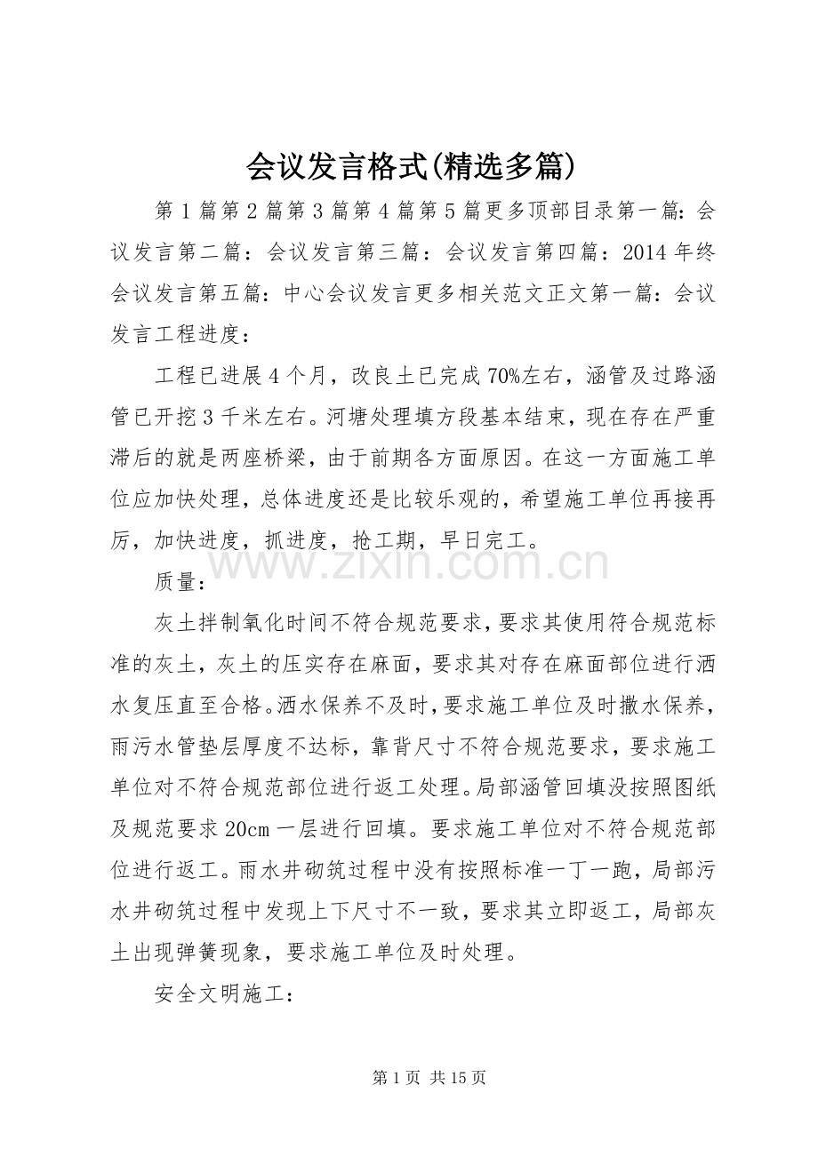 会议发言稿格式(多篇).docx_第1页