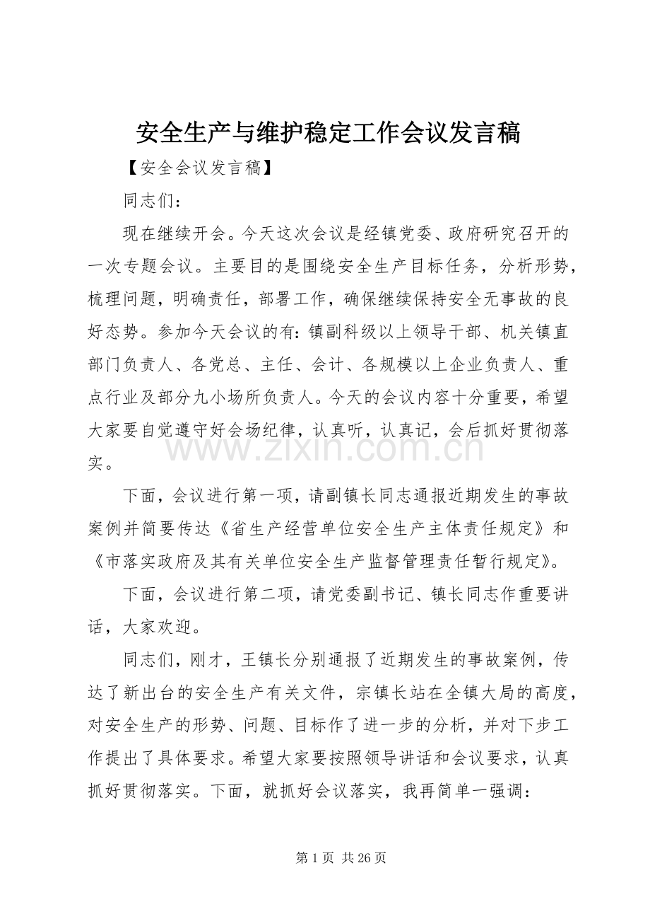 安全生产与维护稳定工作会议发言稿.docx_第1页