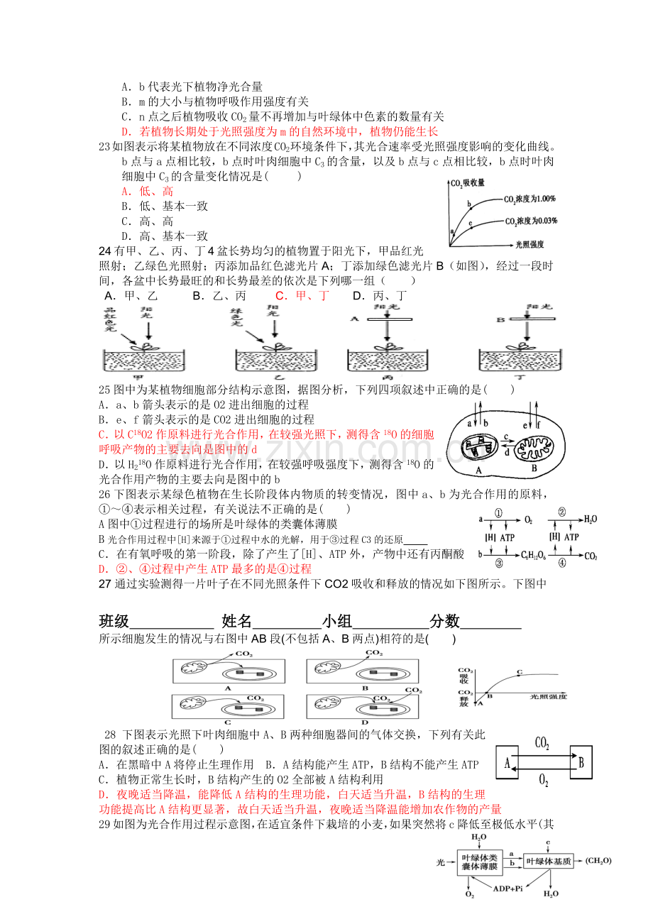 【高中生物】_影响光合作用的因素_测试题(附答案).docx_第3页