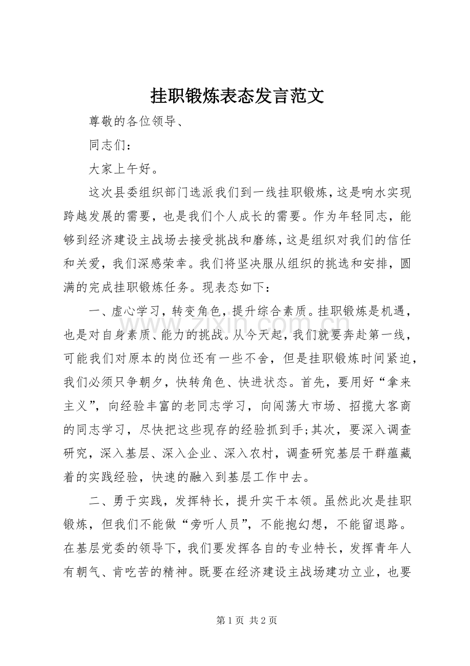 挂职锻炼表态发言稿范文.docx_第1页