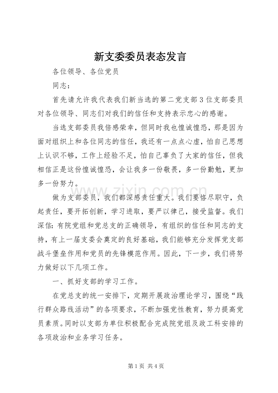 新支委委员表态发言稿.docx_第1页