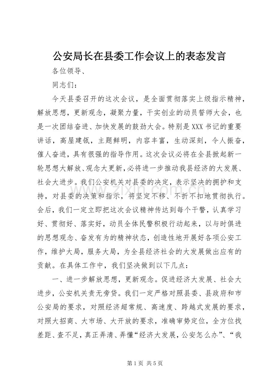 公安局长在县委工作会议上的表态发言稿 (3).docx_第1页