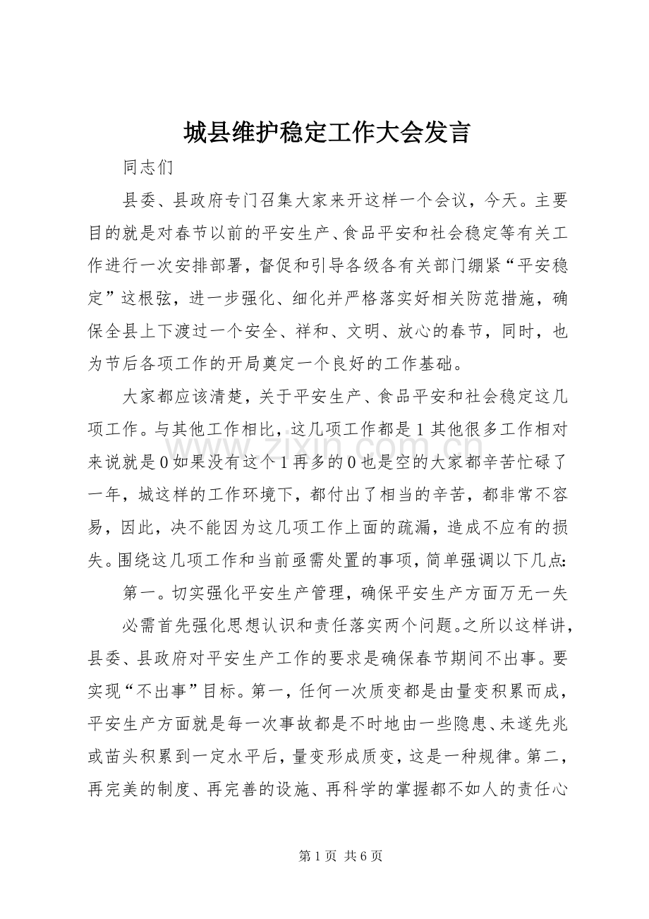 城县维护稳定工作大会发言稿.docx_第1页