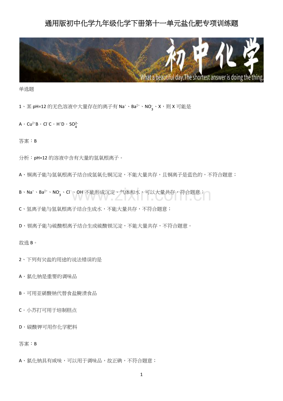 通用版初中化学九年级化学下册第十一单元盐化肥专项训练题.docx_第1页