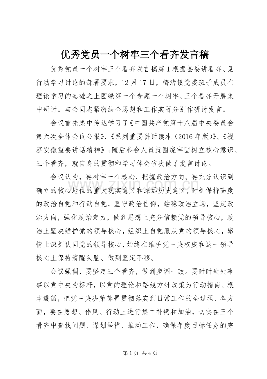 优秀党员一个树牢三个看齐发言.docx_第1页