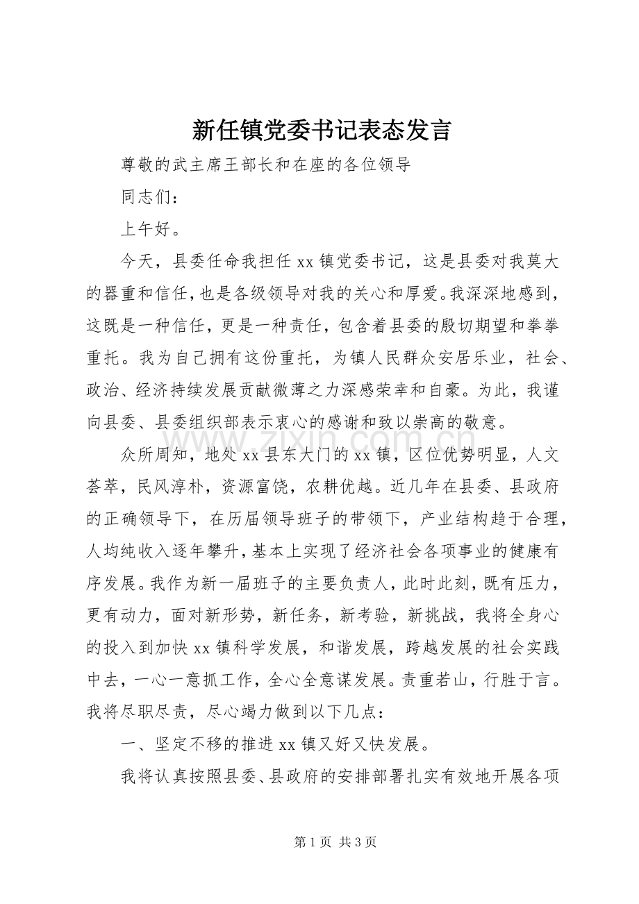 新任镇党委书记表态发言稿.docx_第1页