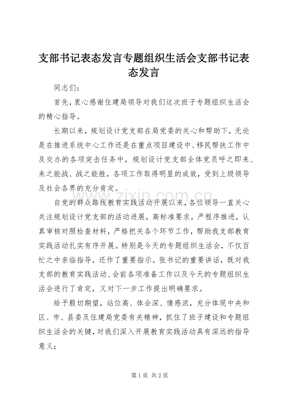 支部书记表态发言稿专题组织生活会支部书记表态发言稿.docx_第1页