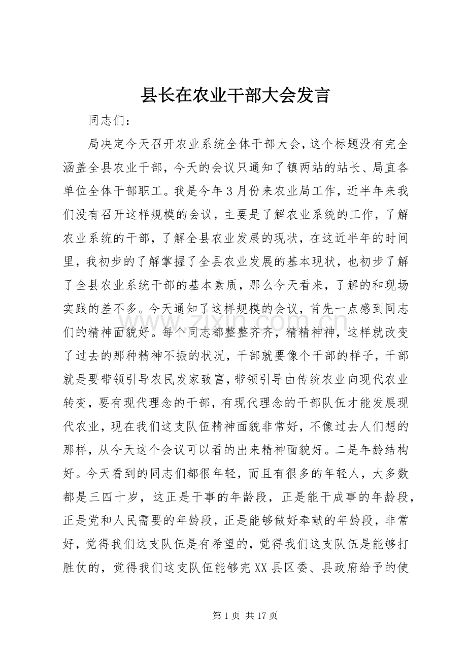 县长在农业干部大会发言稿.docx_第1页