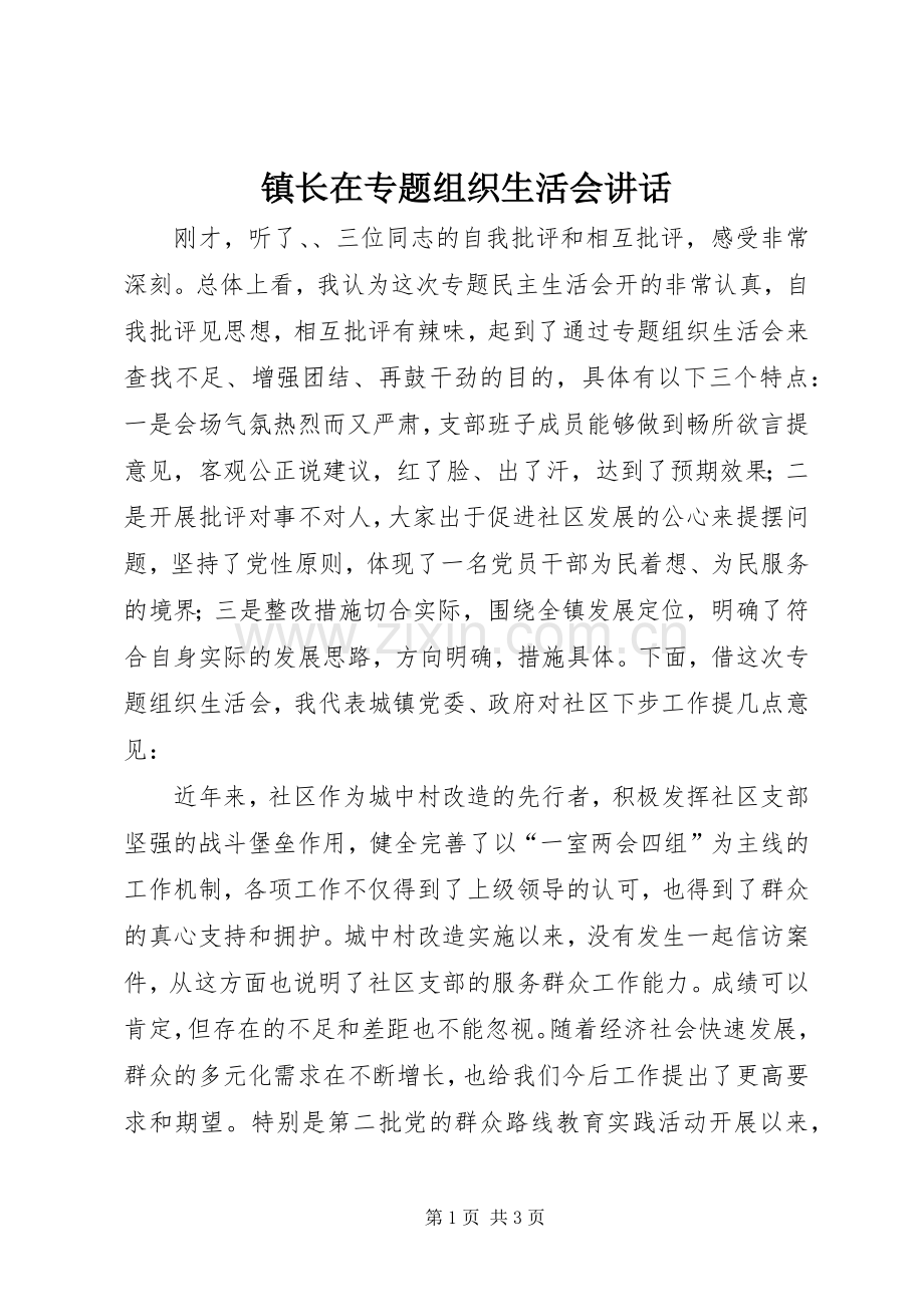 镇长在专题组织生活会讲话.docx_第1页