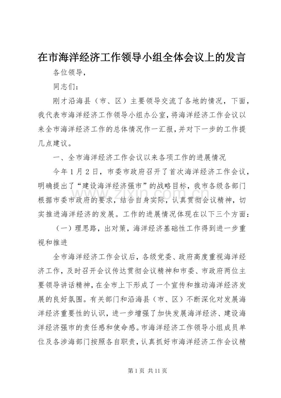 在市海洋经济工作领导小组全体会议上的发言稿.docx_第1页