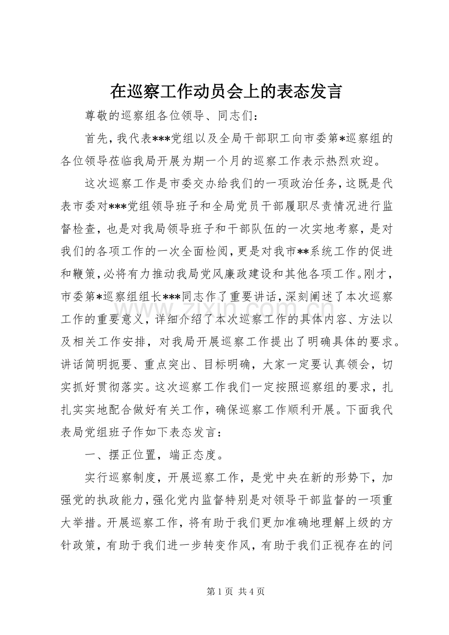 在巡察工作动员会上的表态发言稿.docx_第1页