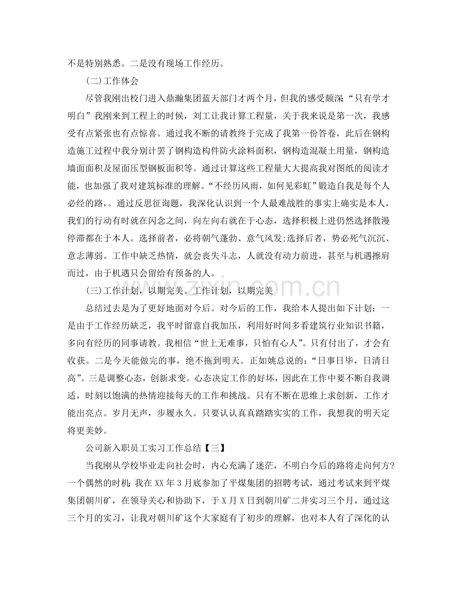 2024公司新入职员工实习工作参考总结.doc_第3页