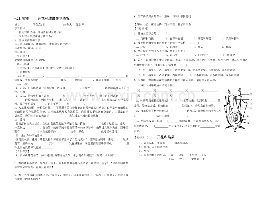 七上生物植株的生长导学练案.doc_第2页