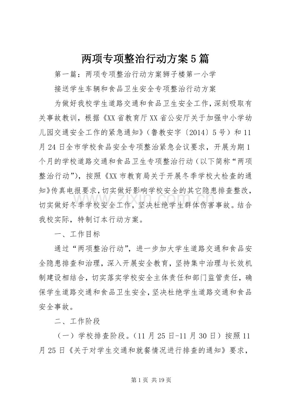 两项专项整治行动实施方案5篇.docx_第1页