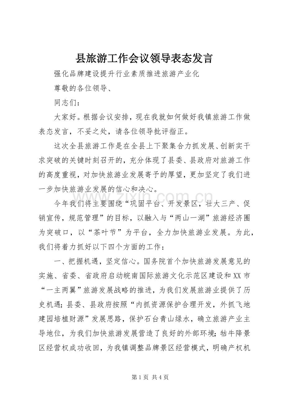 县旅游工作会议领导表态发言稿.docx_第1页