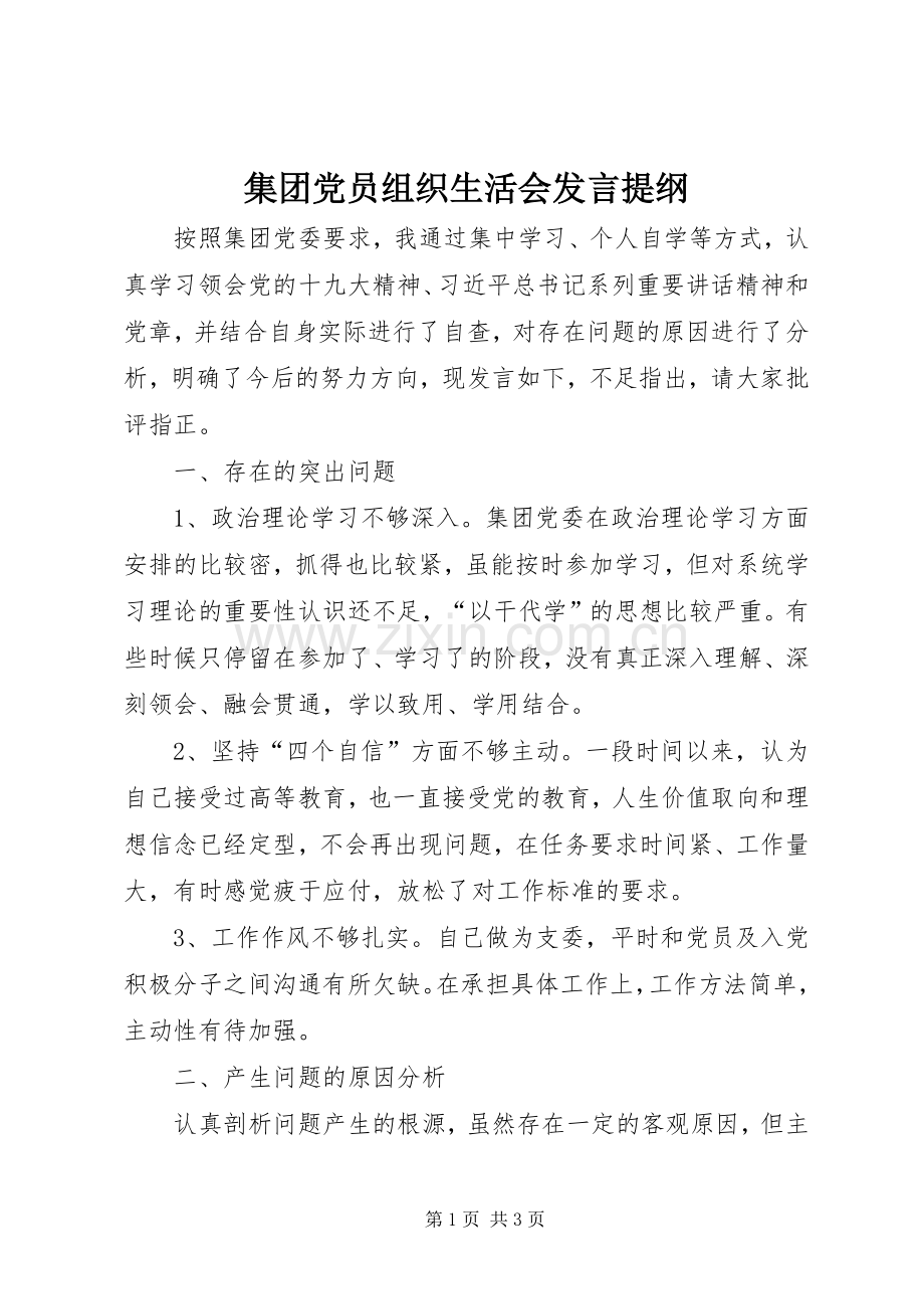 集团党员组织生活会发言提纲材料.docx_第1页