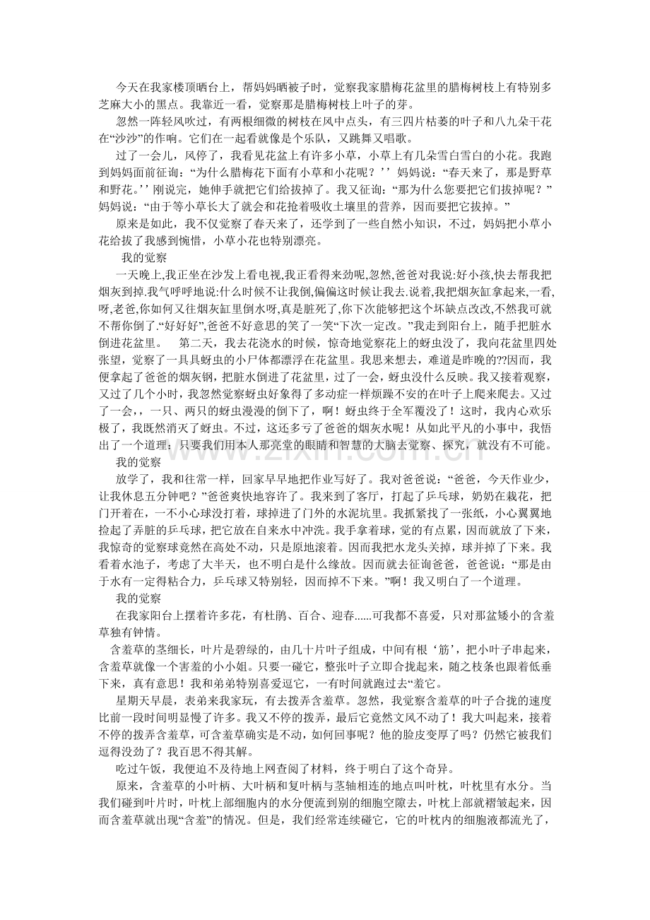 我发现了作文.doc_第3页