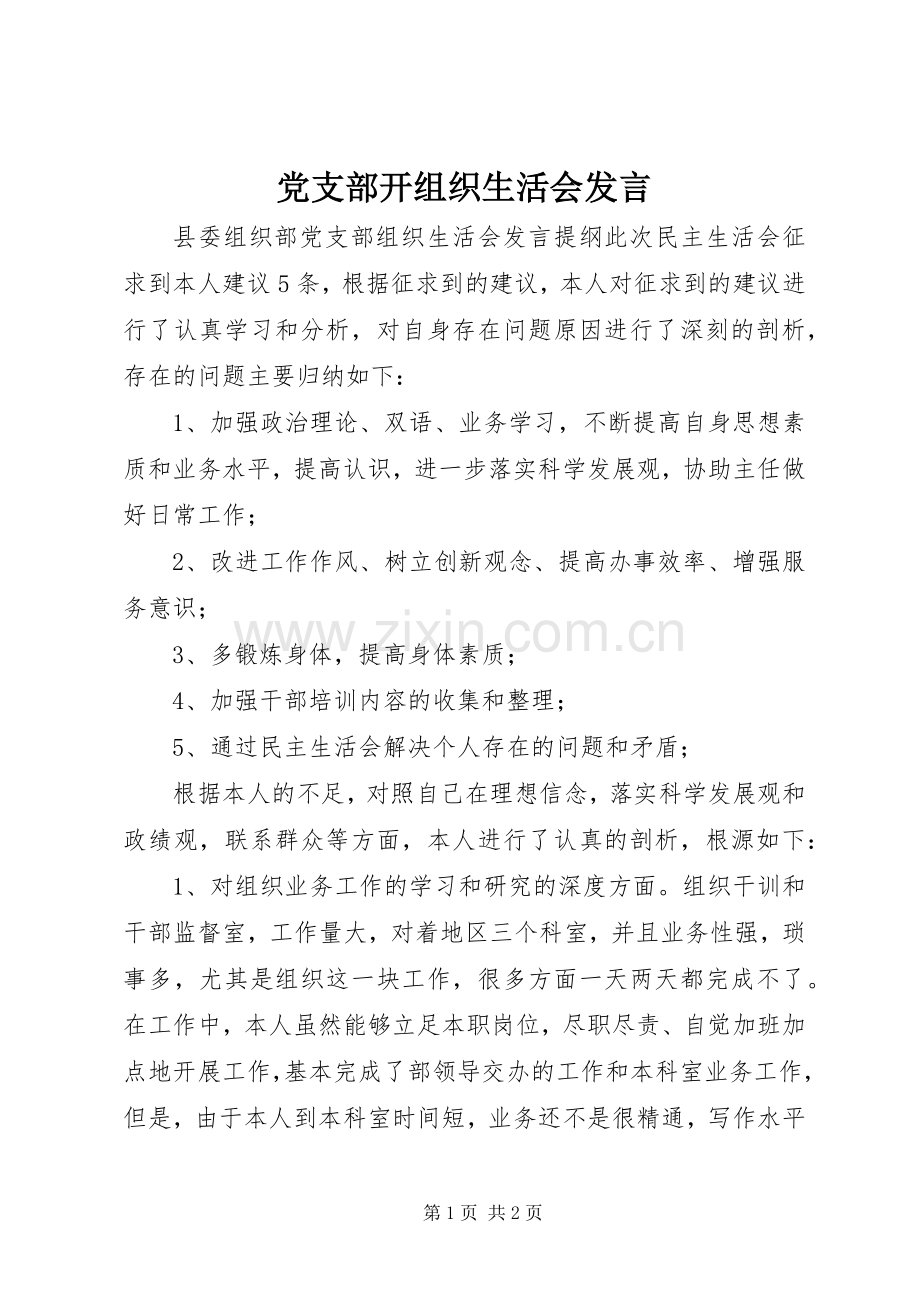 党支部开组织生活会发言稿 (2).docx_第1页