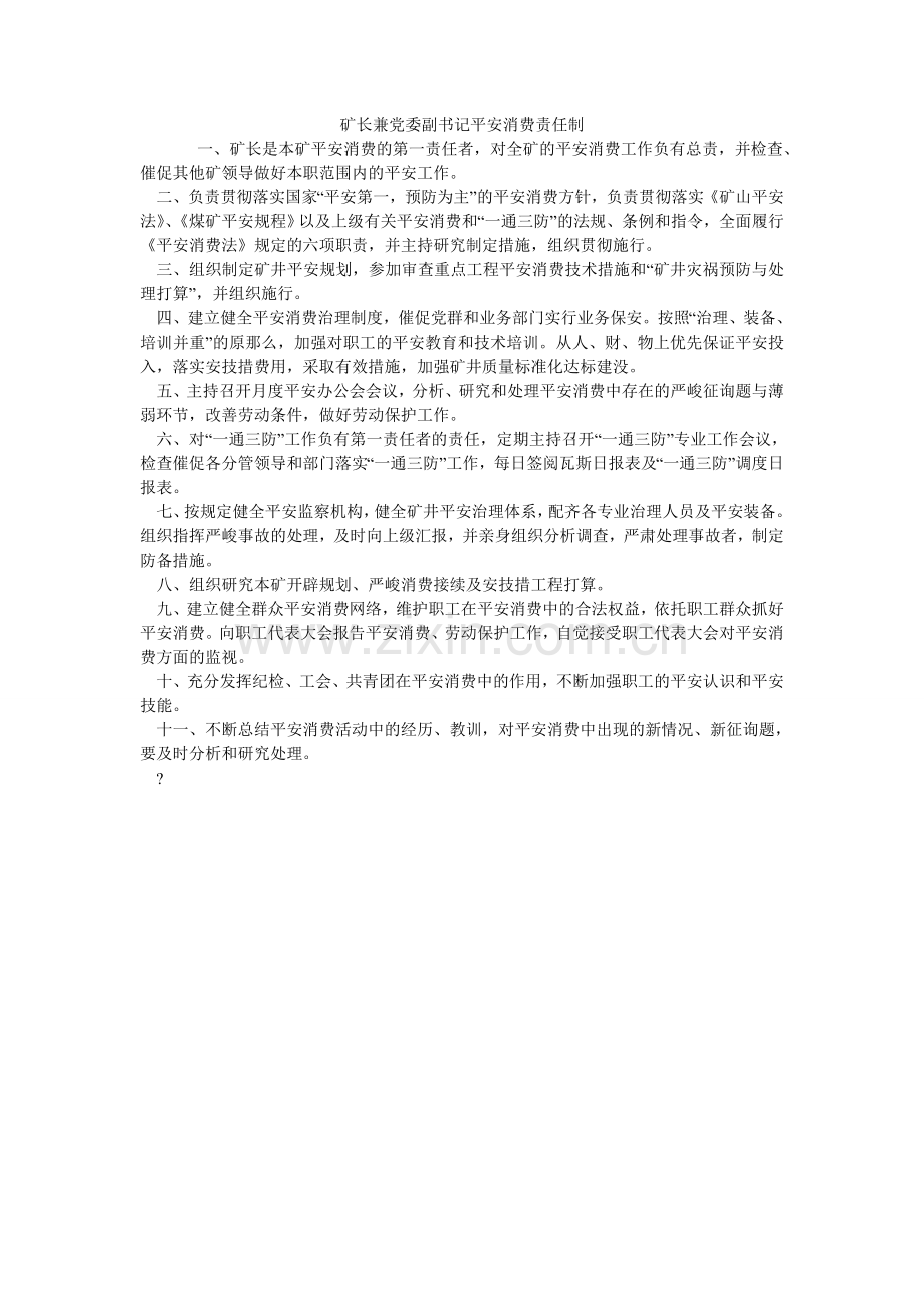 矿长兼党委副书记安全生产责任制.doc_第1页