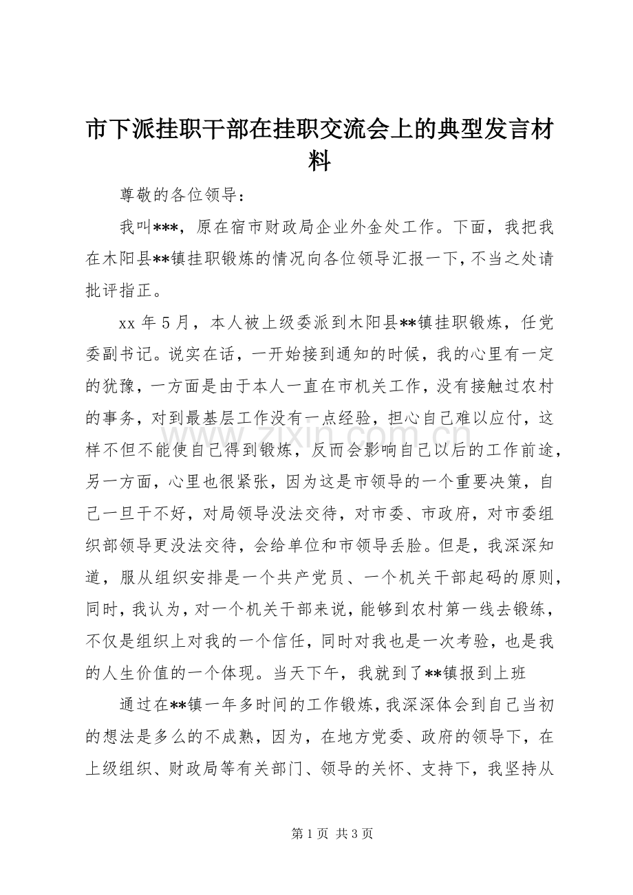 市下派挂职干部在挂职交流会上的典型发言材料提纲.docx_第1页