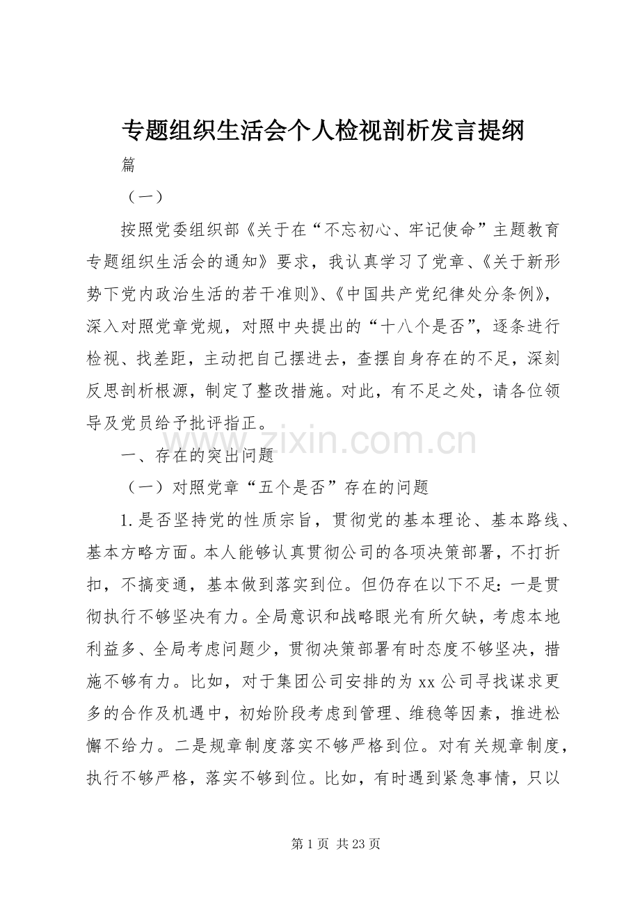 专题组织生活会个人检视剖析发言材料.docx_第1页