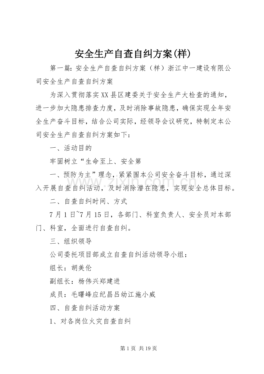 安全生产自查自纠实施方案(样) .docx_第1页