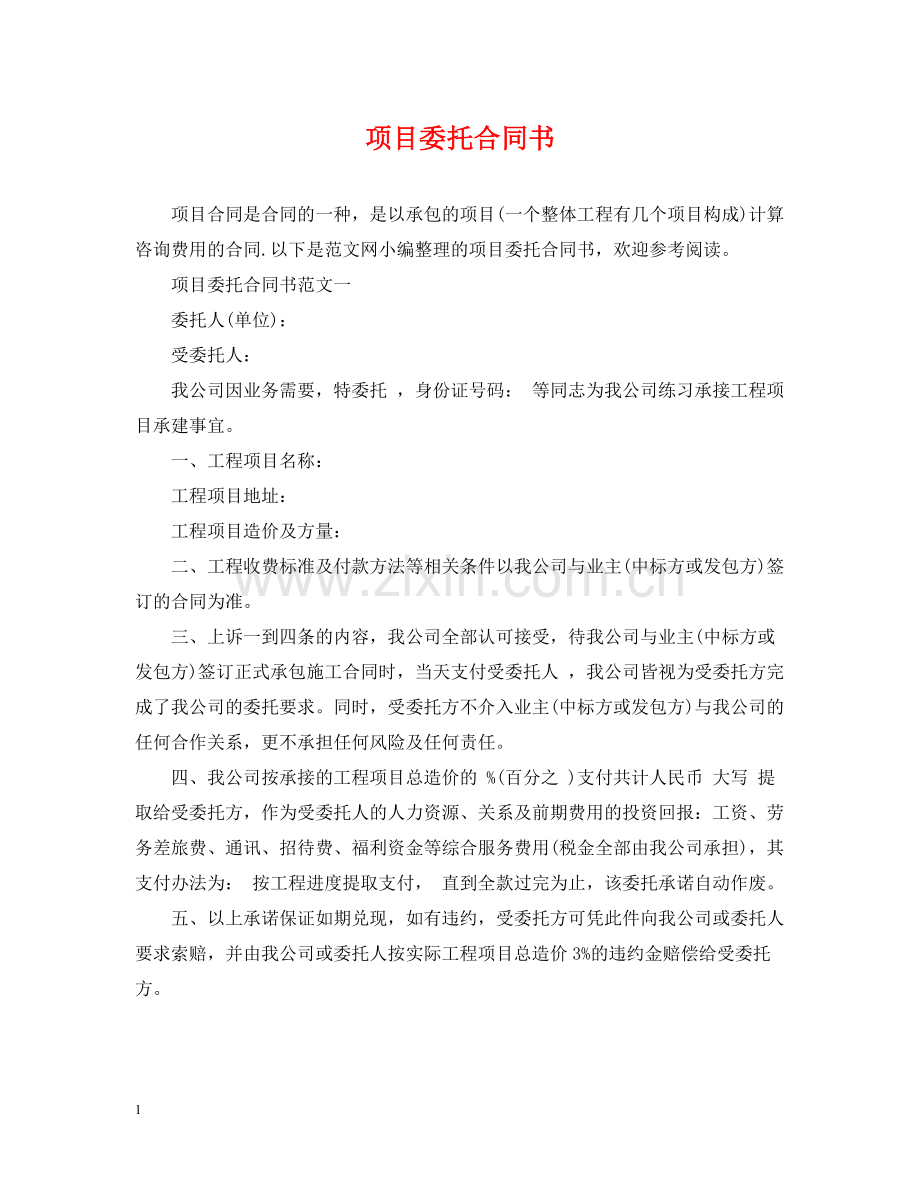 项目委托合同书.docx_第1页