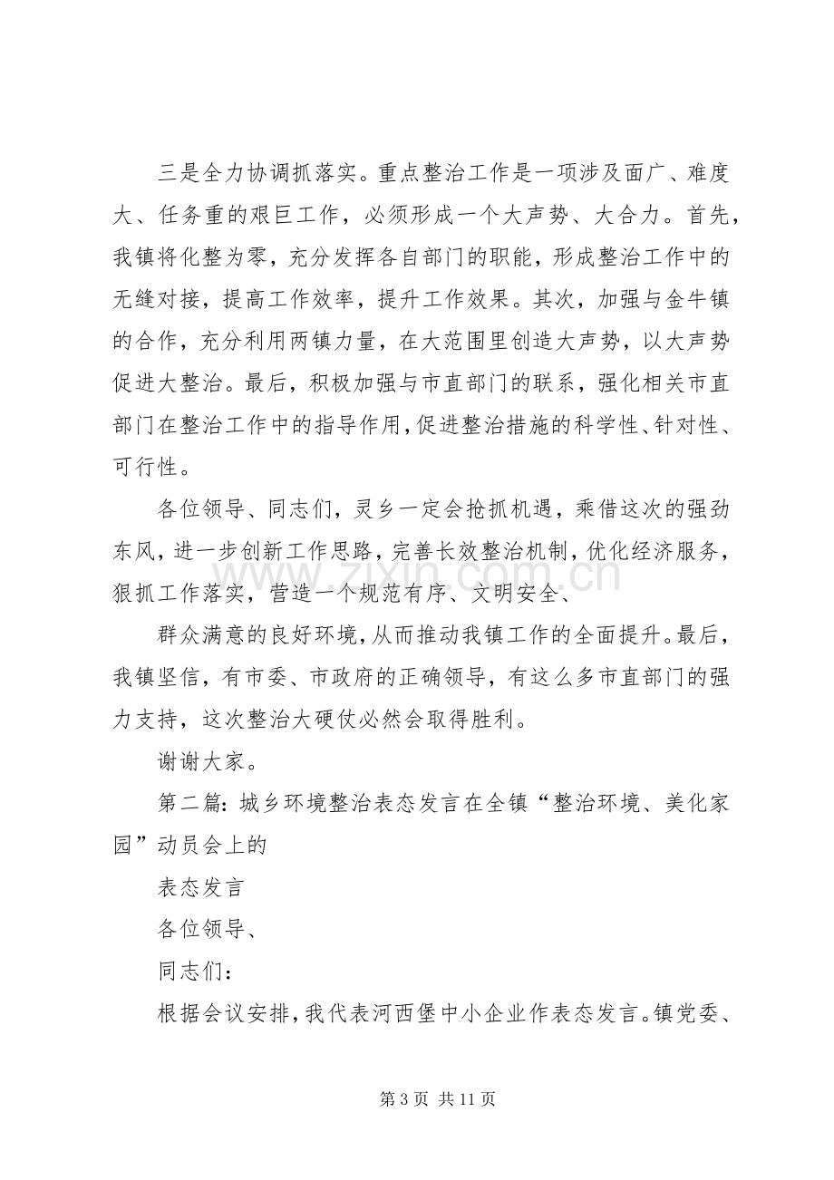 整治表态发言稿(多篇).docx_第3页