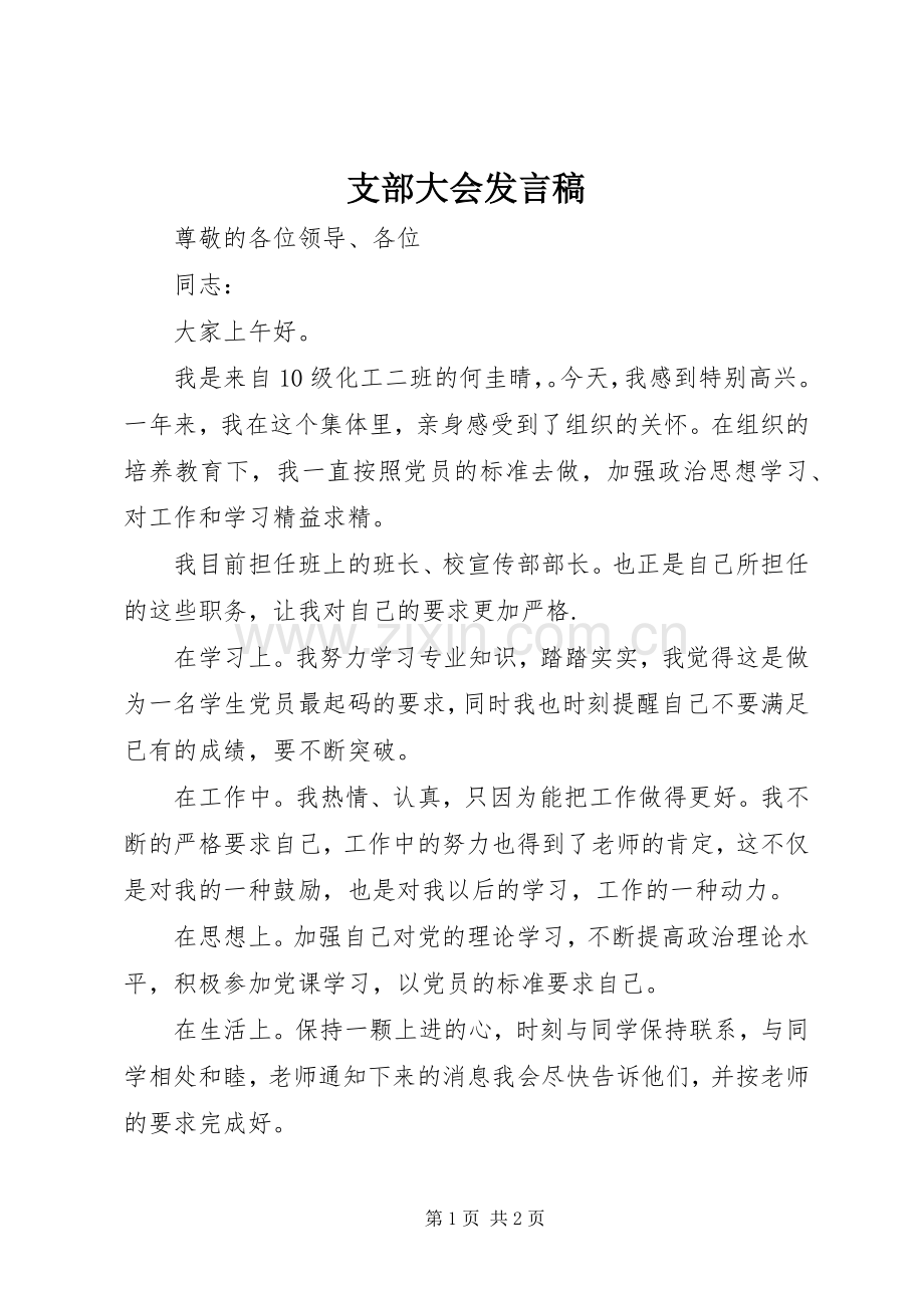 支部大会发言稿范文.docx_第1页