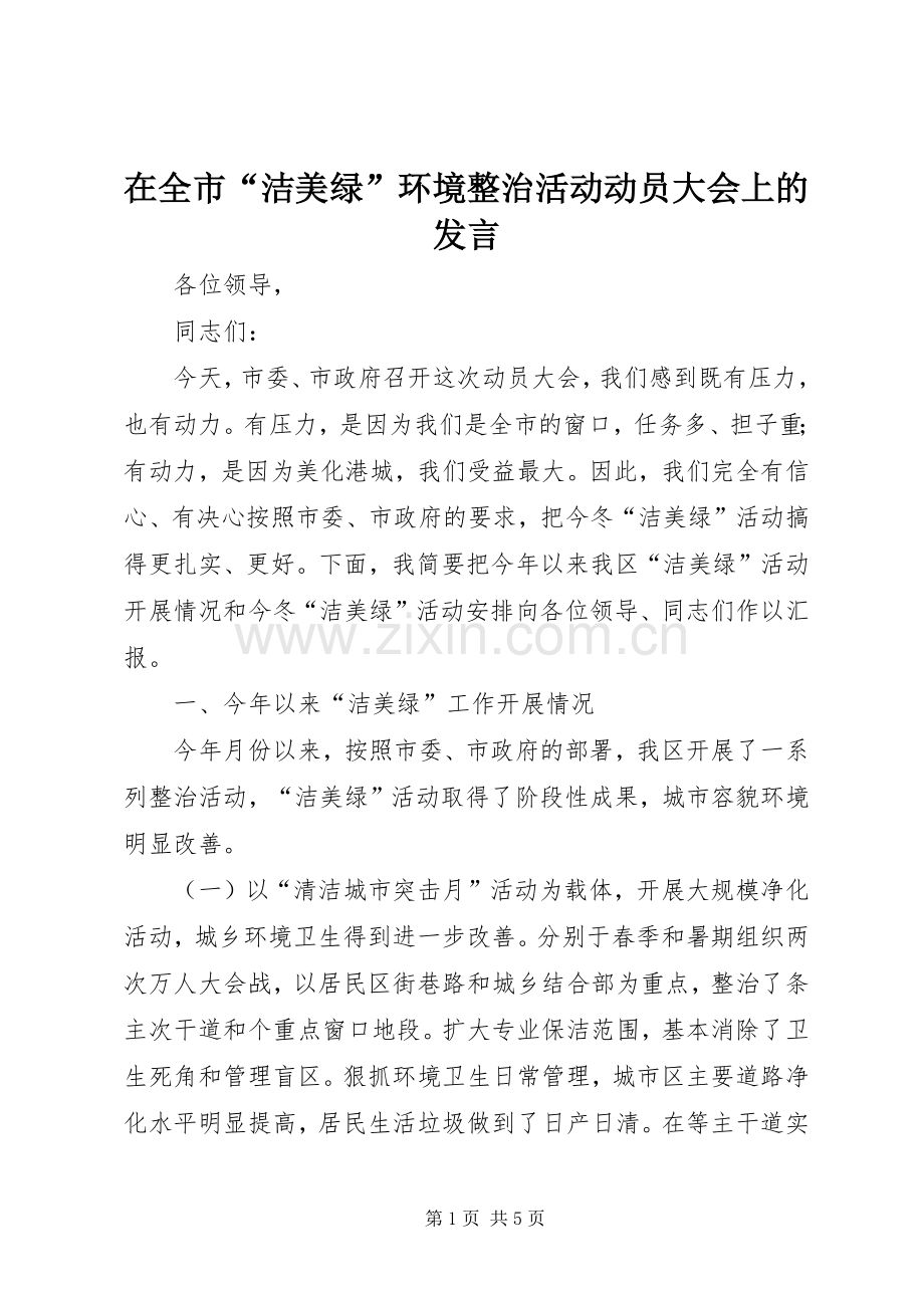 在全市“洁美绿”环境整治活动动员大会上的发言稿.docx_第1页